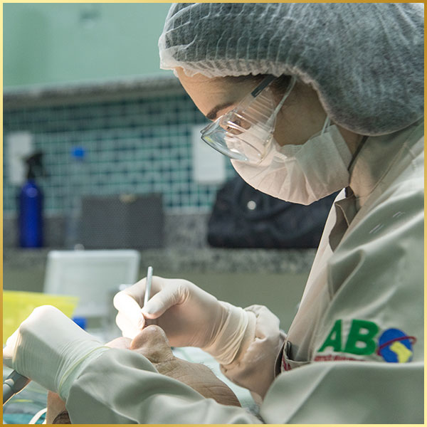 atendimento-abo-abc-06